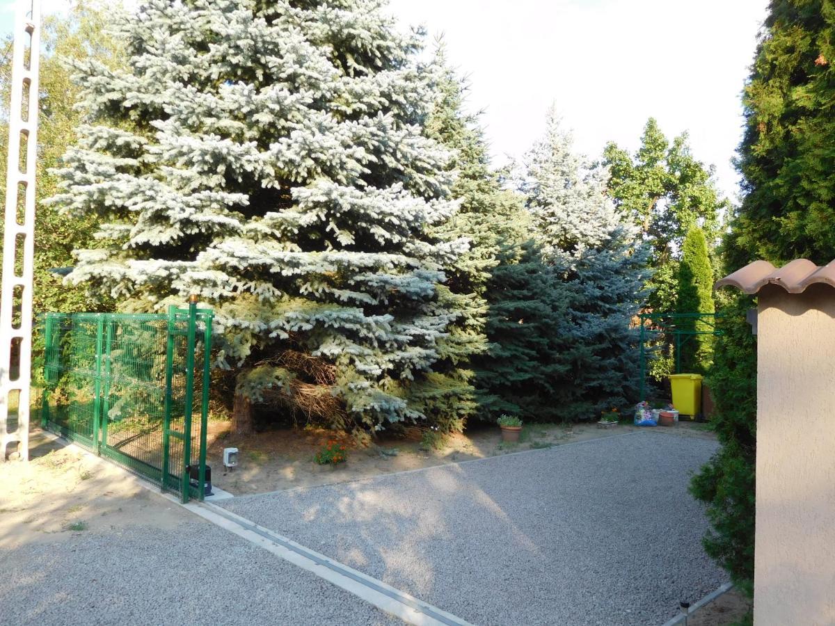 Golden Apartman Orosháza Dış mekan fotoğraf